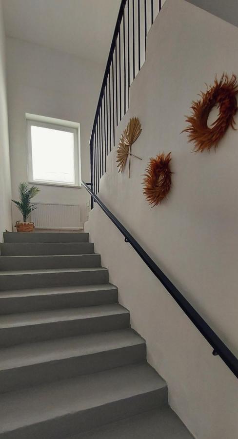 Chill N Grill Apartment Jesenik Exterior photo